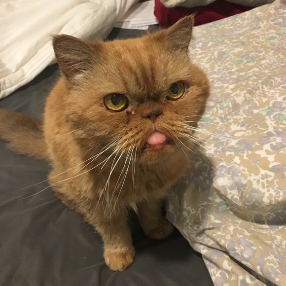 @Bekafab  FOLLOW GAME😻 - Picture 6 of 11